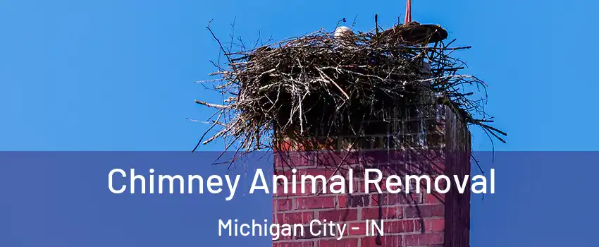  Chimney Animal Removal Michigan City - IN
