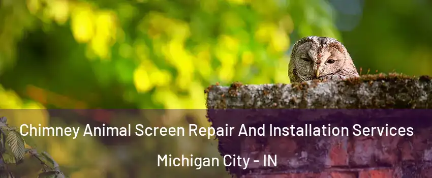  Chimney Animal Screen Repair And Installation Services Michigan City - IN