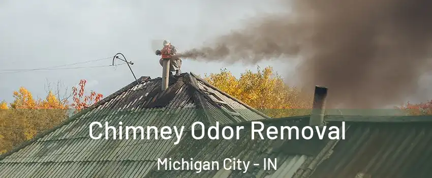  Chimney Odor Removal Michigan City - IN