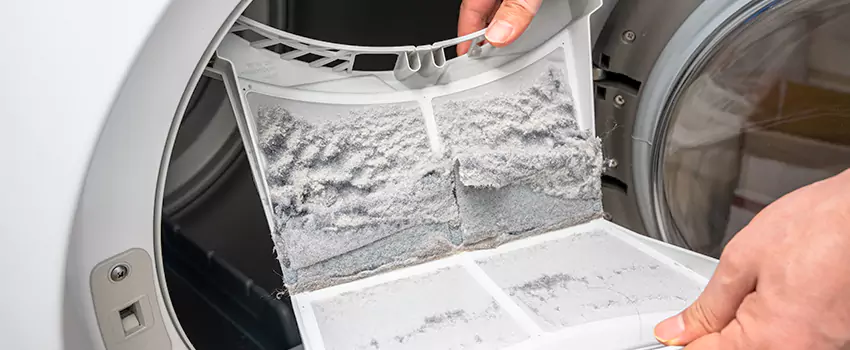 Best Dryer Lint Removal Company in Michigan City, Indiana