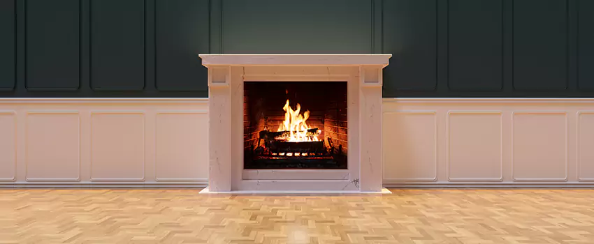 Napoleon Electric Fireplaces Inspection Service in Michigan City, Indiana