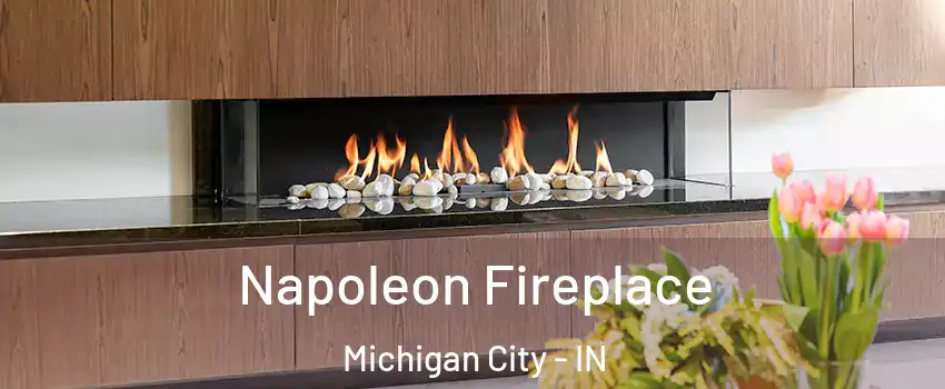  Napoleon Fireplace Michigan City - IN
